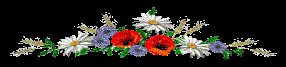 http://os1.i.ua/3/1/9483332_191d174d.gif